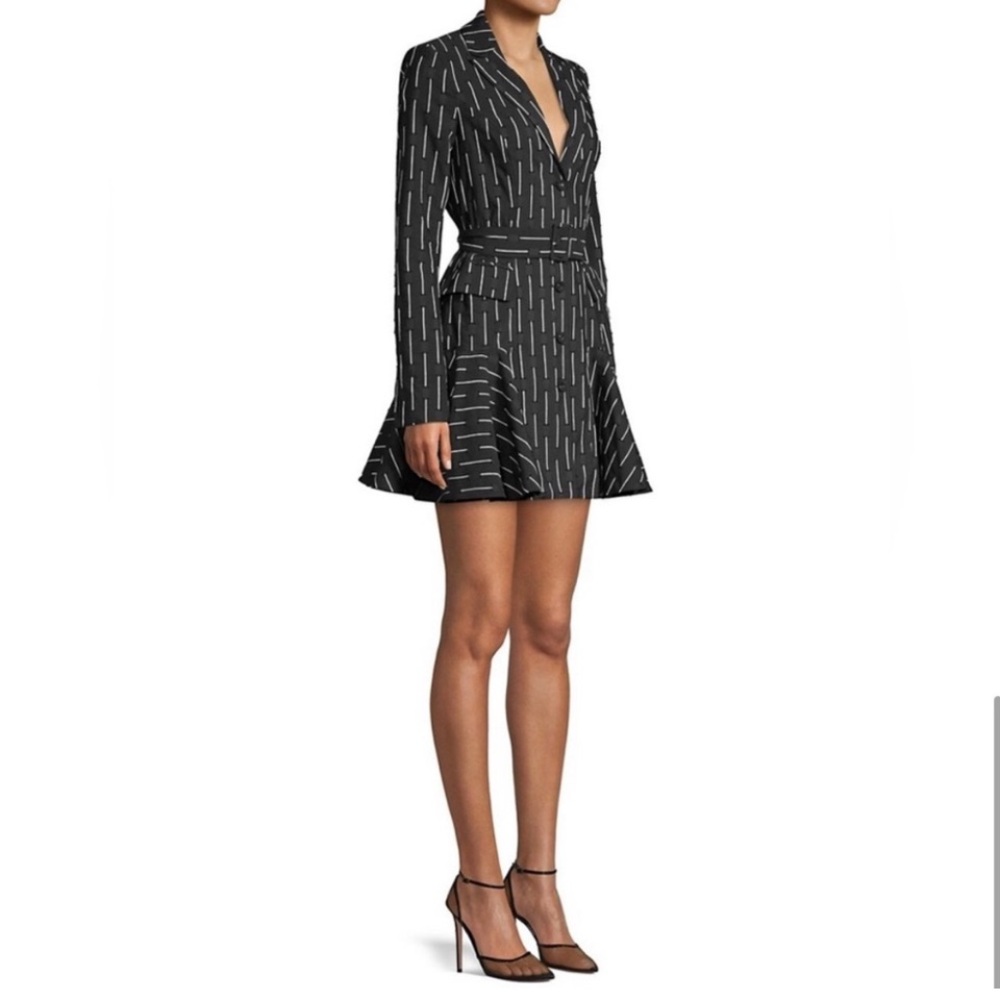 Alexis Black & White A-Line Long Sleeve Shirt Dress – Never Worn